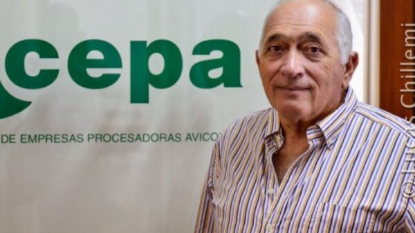 Desde CEPA temen que haya una sobreoferta de carne de pollo
