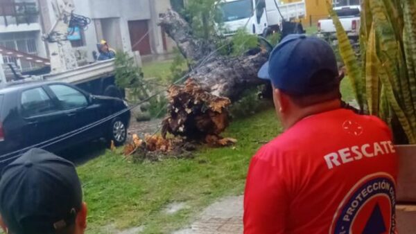 El Municipio atiende las contingencias tras la lluvia y el viento