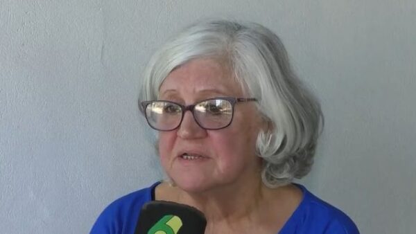 Explicaron de qué se trata la gripe H3N2