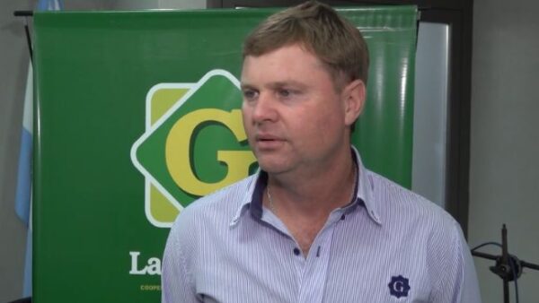 La carne vacuna, entre la recuperación de los productores y los precios que deprimen el consumo