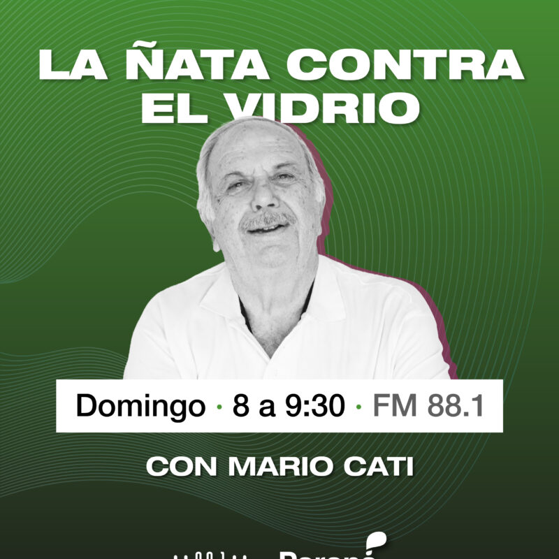 LA ÑATA CONTRA EL VIDRIO