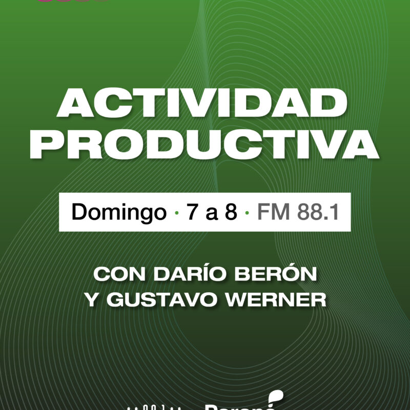 ACTIVIDAD PRODUCTIVA