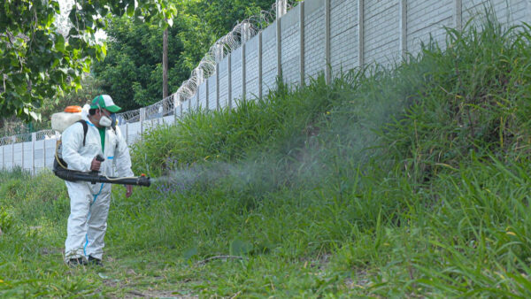Intensifican los operativos de fumigación en espacios públicos